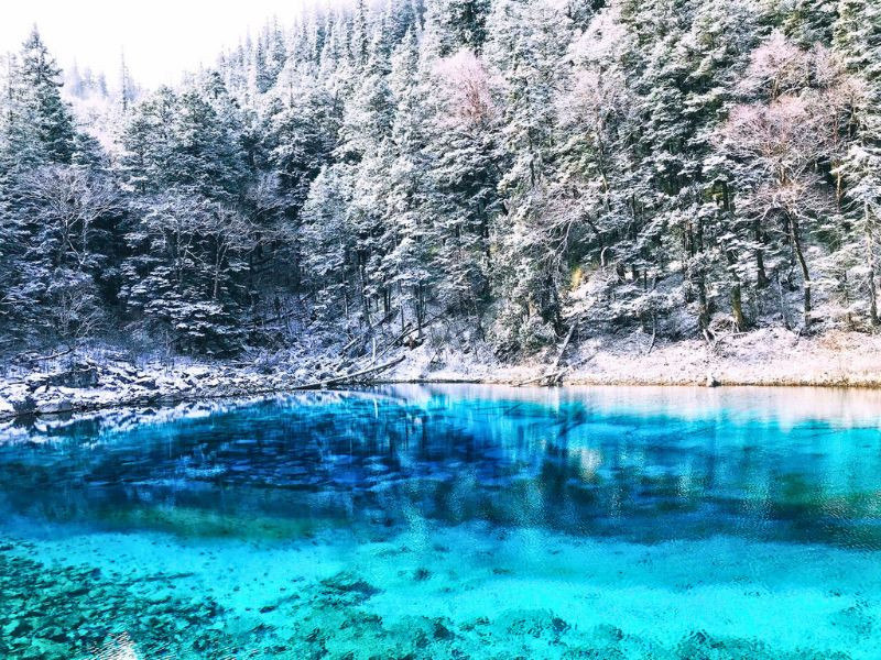 THÀNH ĐÔ - CỬU TRẠI CÂU -  GIA CÔ SƠN (TN)